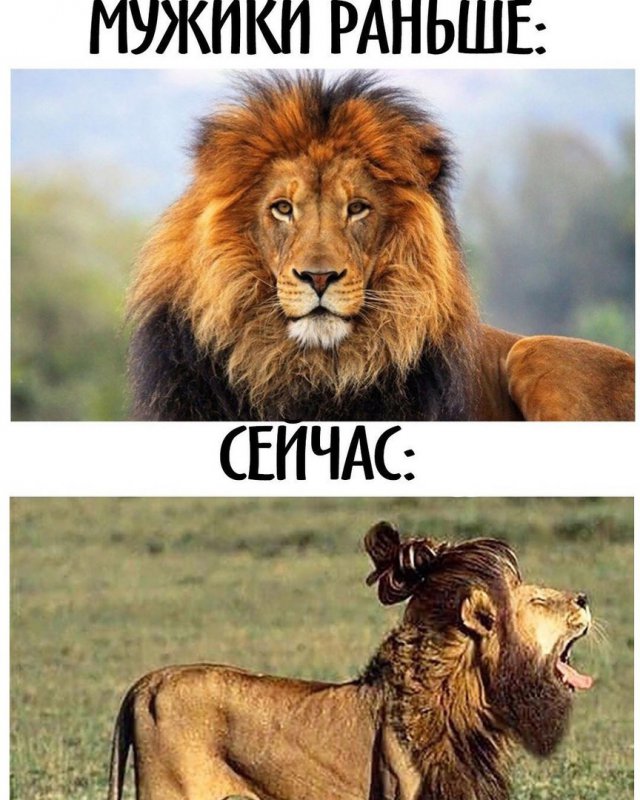 Мужики сейчас и раньше