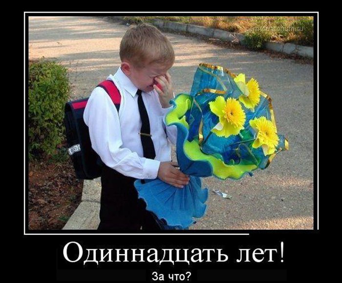 За что детям дают 11 лет колы