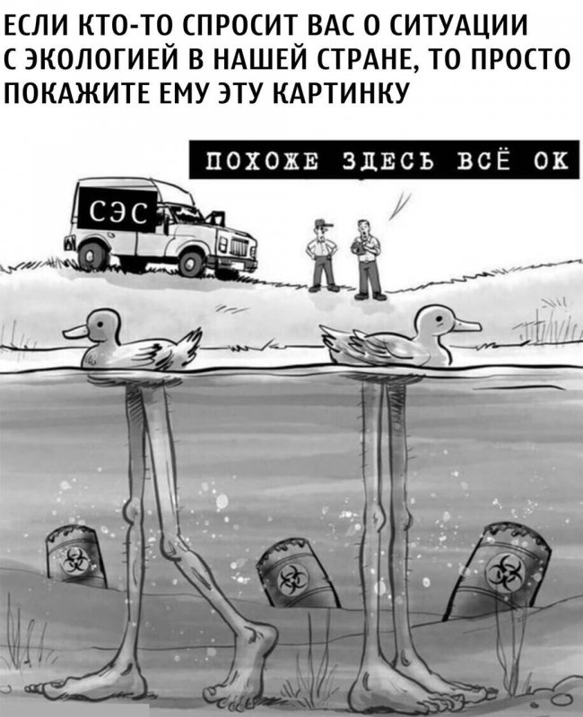 Утки в пруду с огромными человеческими ногами