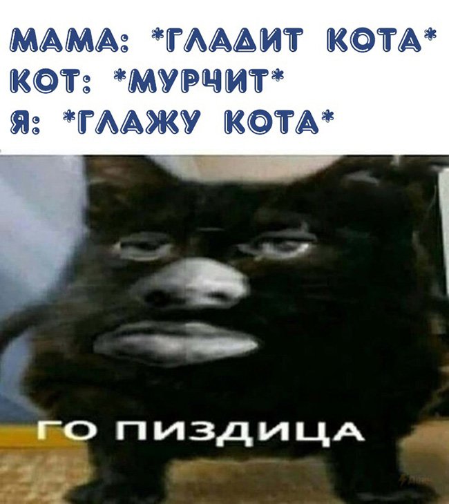 Когда решил поглаждить агрессивного кота