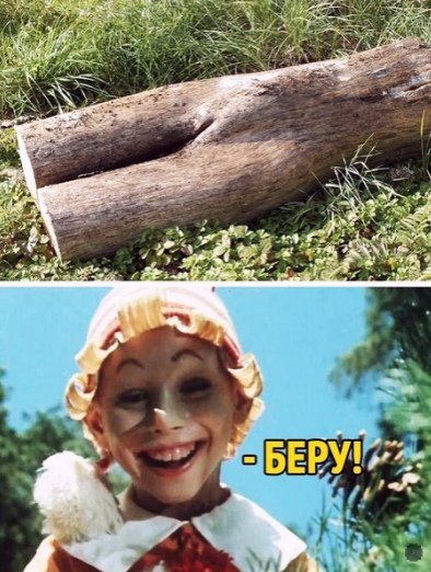 Буратино понравилась древесина, похожая на девушку