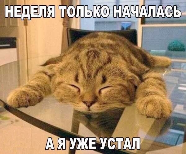 Неделя только началась, а я уже устал