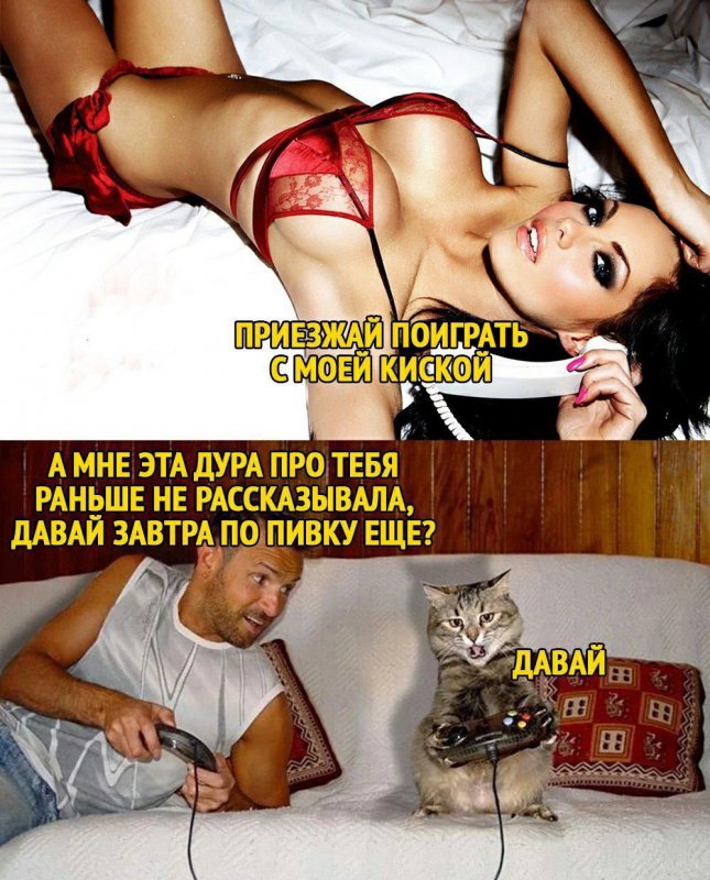 Пришёл играть с киской в игры, и пить пиво