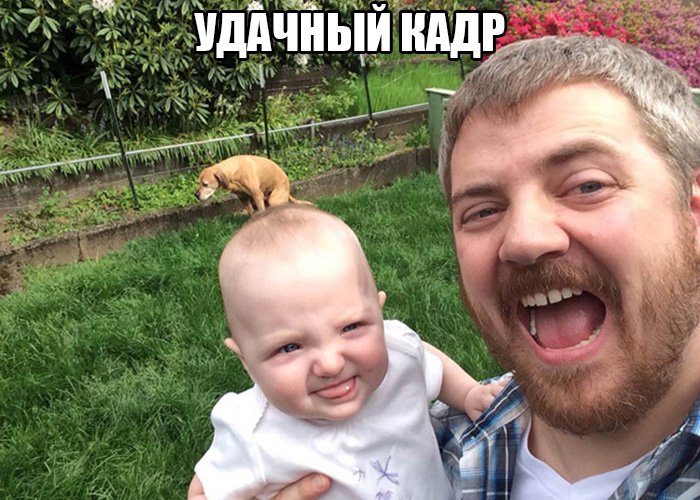 Собака накакала младенцу на голову