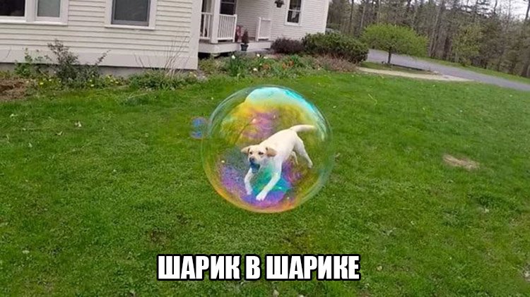 Собака Шарик в мыльном пузыре