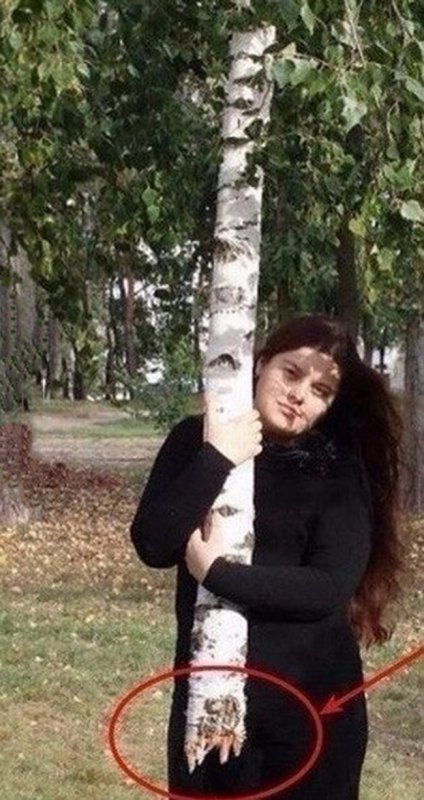 Девушка сфотографировалась со сломанной берёзой