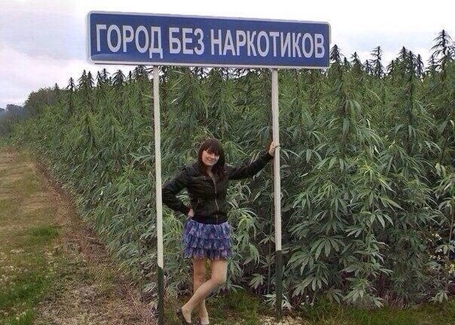 Дорожный знак, город без наркотиков
