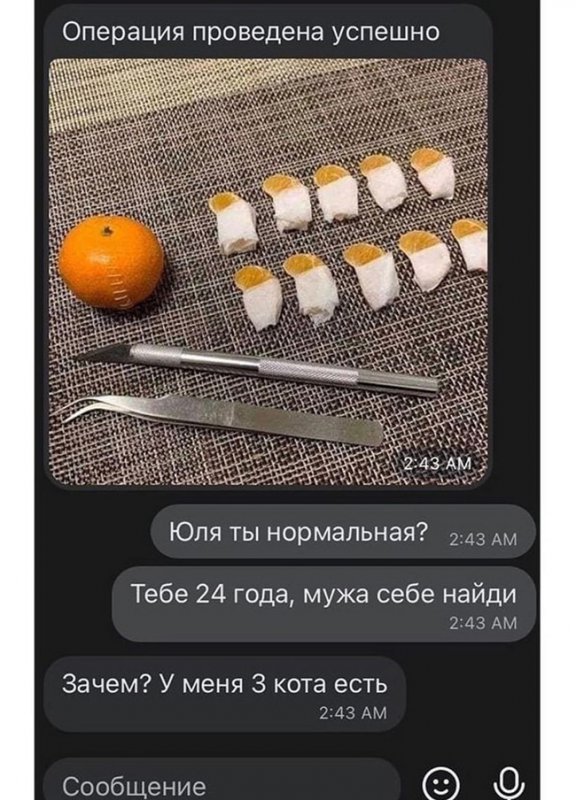 Операция у мандаринки прошла успешно