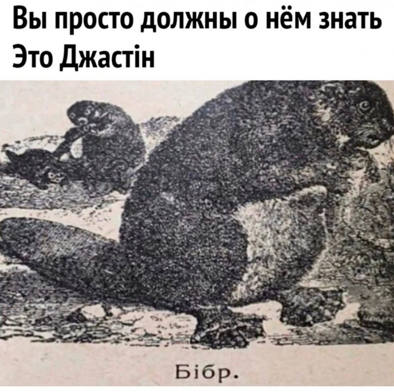 Барсук Джастин Бибр