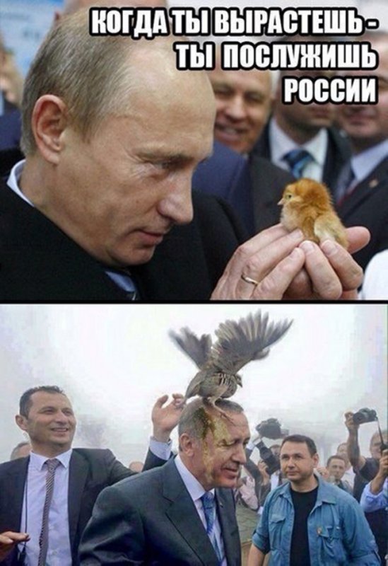 Когда птица вырастет, она послужит России