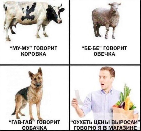 Му му говорит коровка, ох цены выросли говорю я