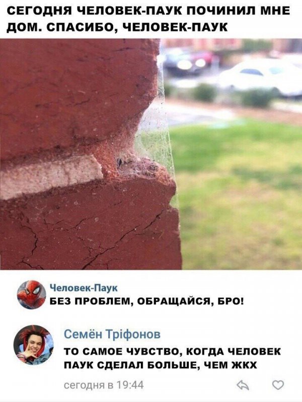 Паук починил дом паутиной