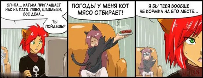У меня кот мясо отбирает, я бы тебя вообще не кормил