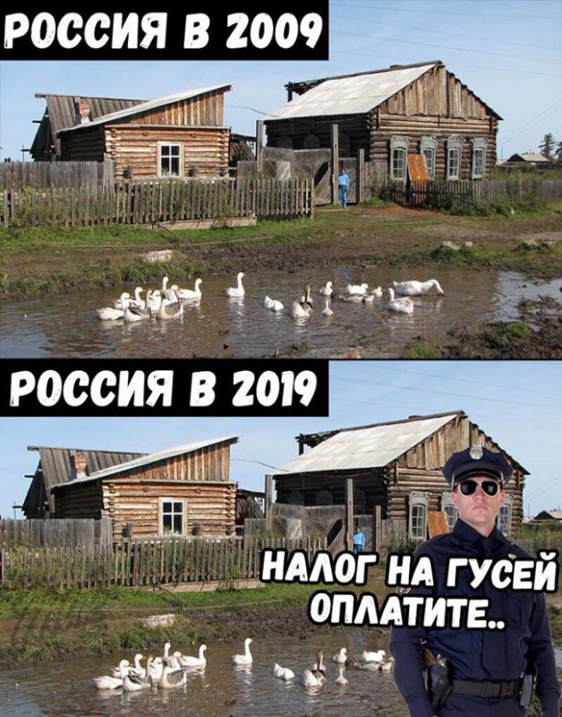 Сравнение россии за 10 лет, оплатите налог на гусей