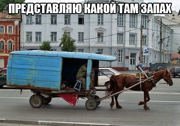 Сделал тележку из общественного туалета