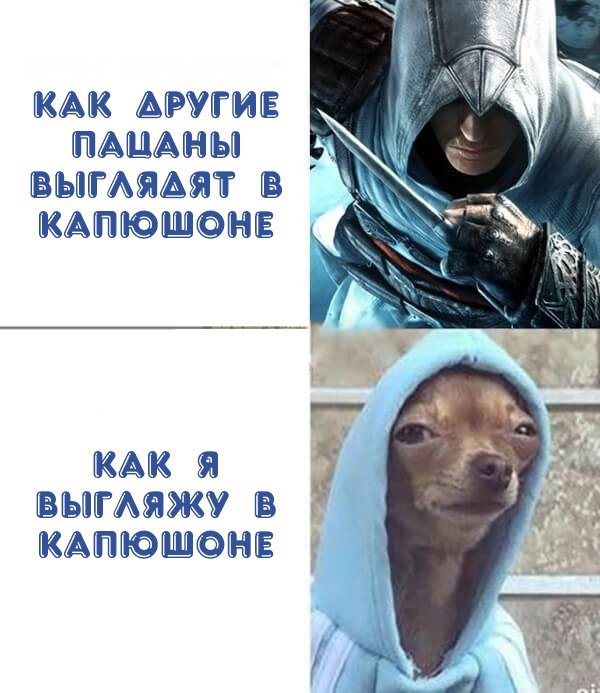 Другие выглядят в капюшоне как Ассасин Крид, а я как пёс