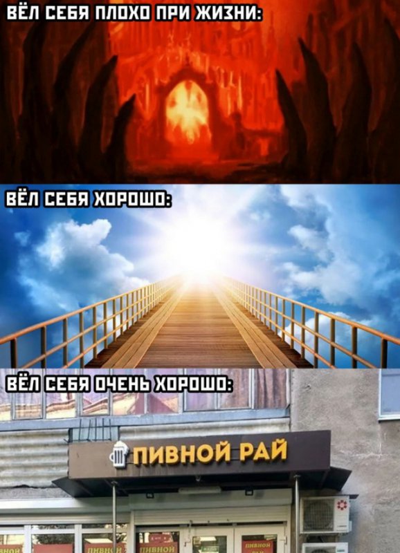 Вёл себя очень хорошо, попадёшь в пивной рай