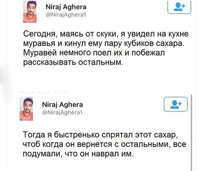 Дал муравью кубик сахара, он рассказал остальным