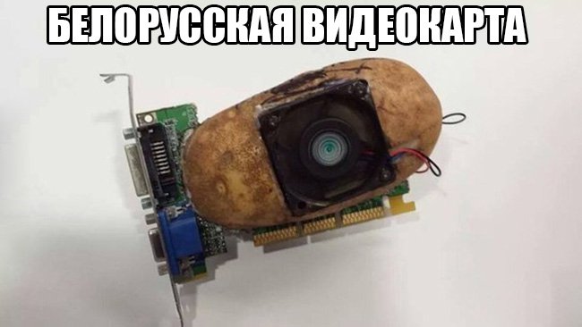 Беларуская видеокарта из картошки