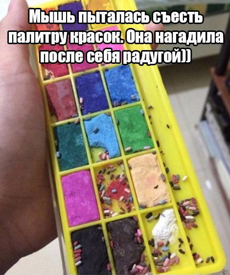 Мышь съела краски, и нагадила радугой