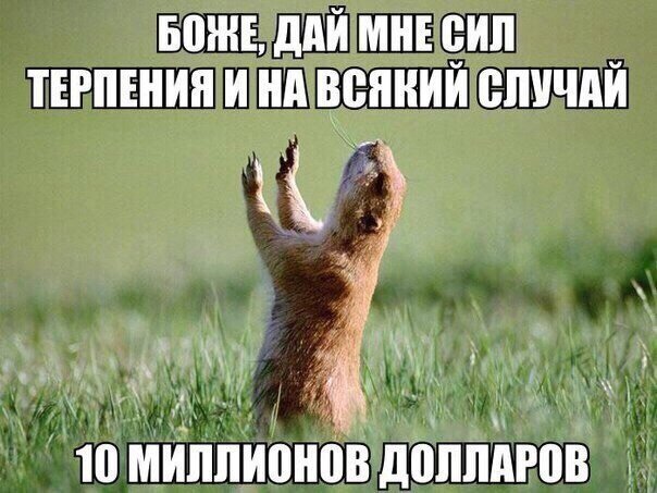 Боже дай мне сил, терпения, и 10 миллионов долларов