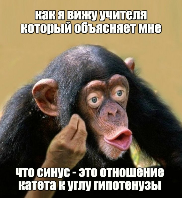 Учитель, объясняющий, что такое синус