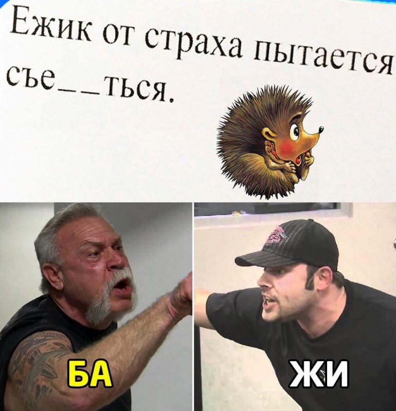 Ёжик от страха пытается съежиться