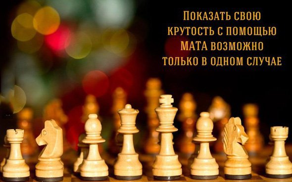 Показать крутость матом можно только в шахматах