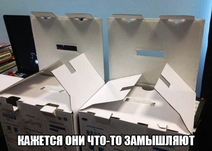 Две коробки что-то замышляют