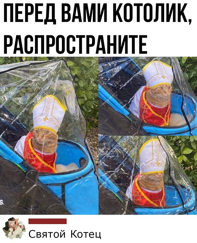 Святой котец переоделся в папу римского