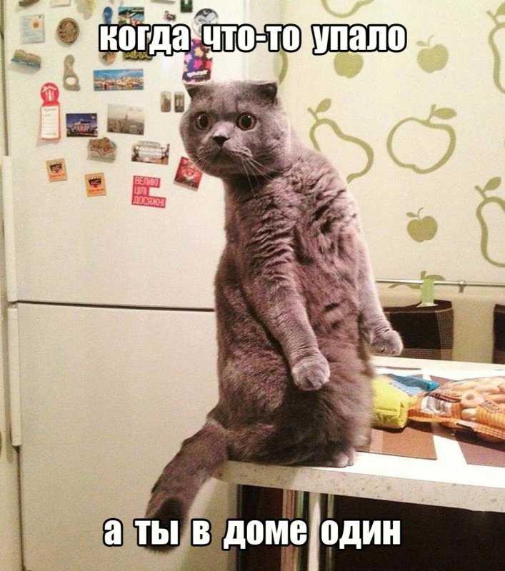 Когда что-то упало, а ты в доме один