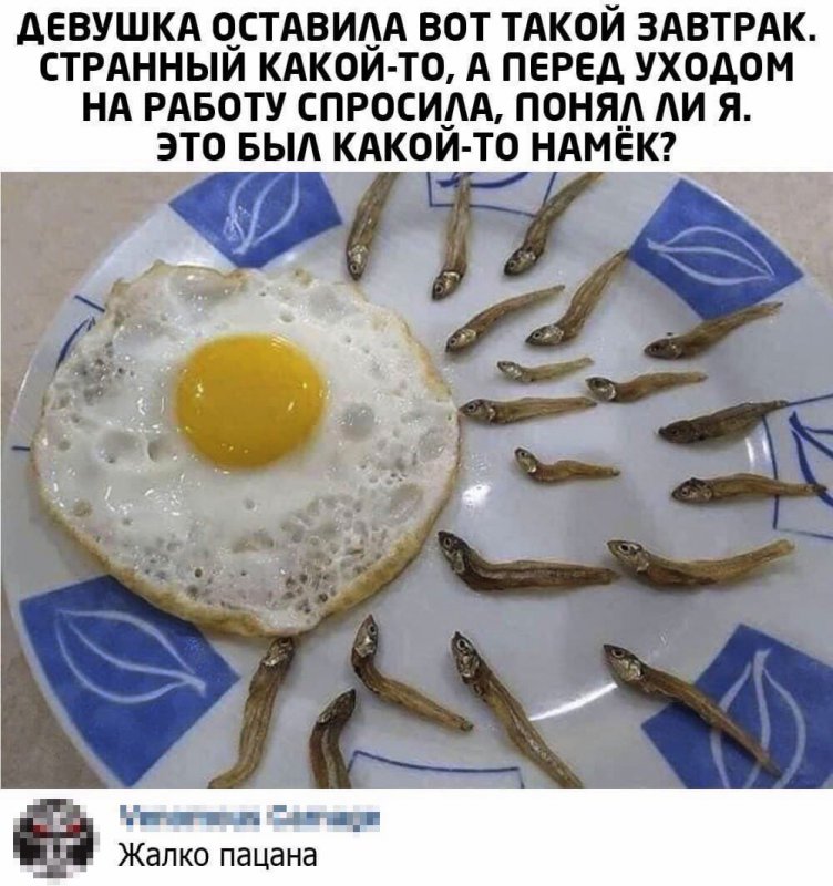 Девушка сделала намёк, приготовив яишницу и рыбок
