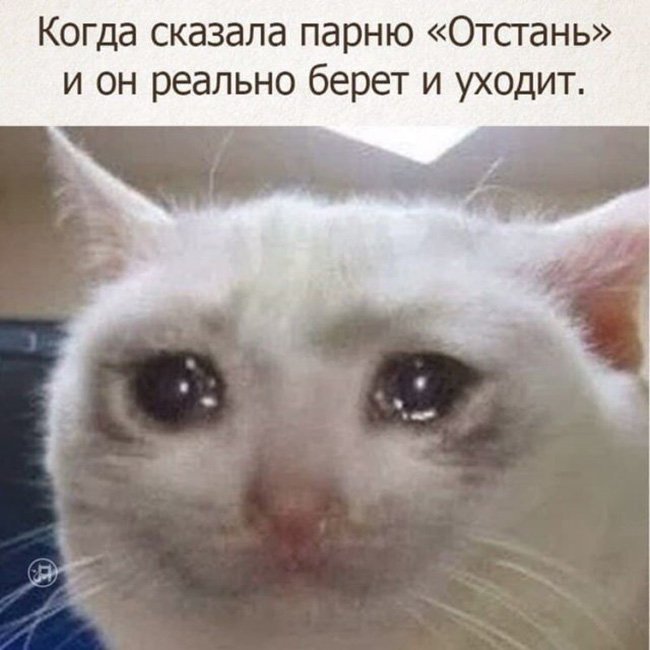 Сказала парню отстань, а он реально уходит