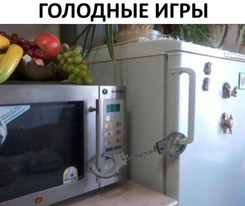 Приковал наручниками холодильник и микрофолновку