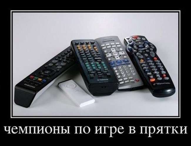 Пульты от телевизора, чемпионы по игре в прятки