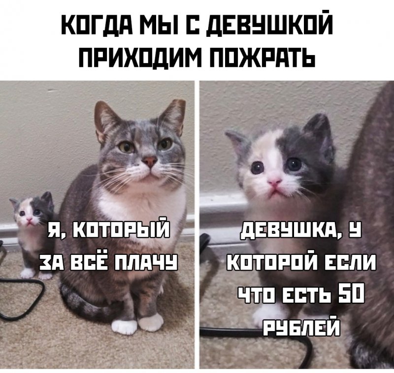 Когда мы с девушкой приходим пожрать