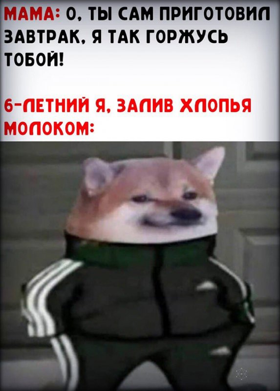 Мама гордится, что я приготовил сам завтрак