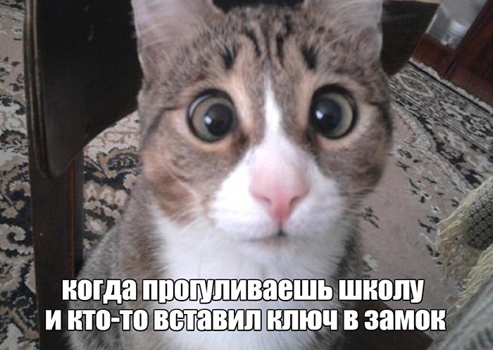 Прогуливаешь школу, и кто-то вставил ключ в замок