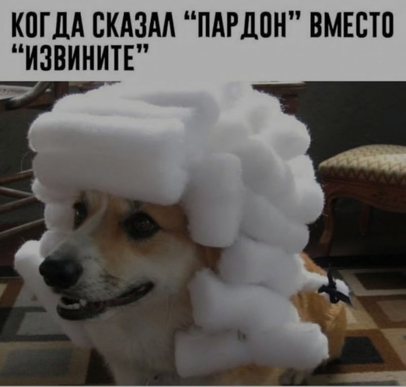 Когда сказал пардон вместо извините