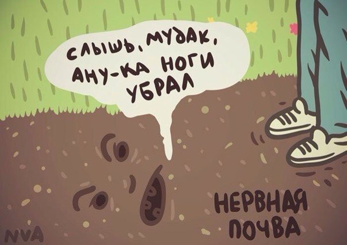 слышь, мудак, а ну-ка ноги убрал, нервная почва