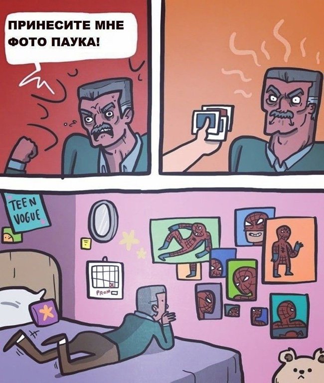 Присесите мне фото паука, повешу у себя дома