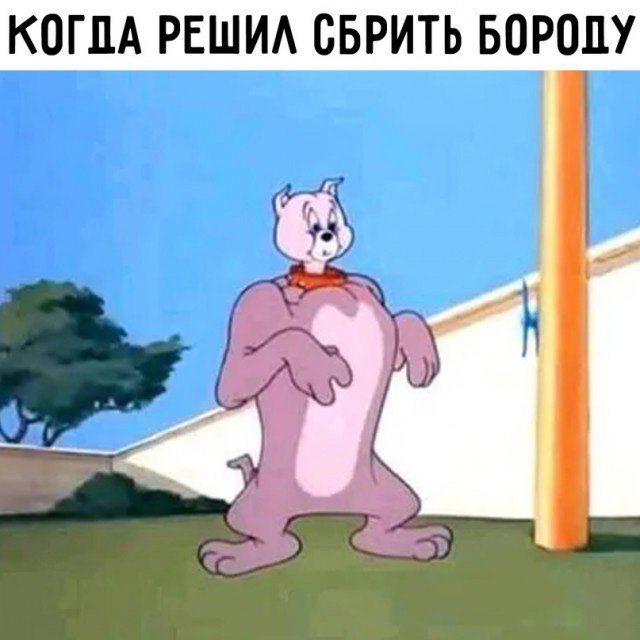 Спайк из Тома и Джерри сбрил бороду и помолодел