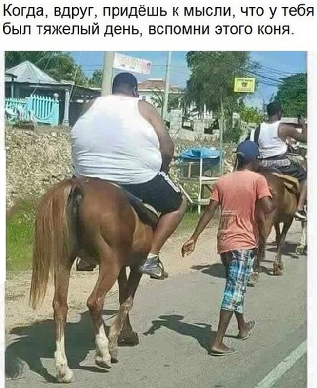 Толстый мужик едет на коне, у коня тяжёлый день