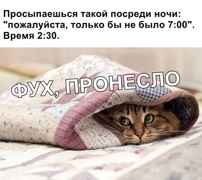 Просыпаешься ночью, а на часах 2:30