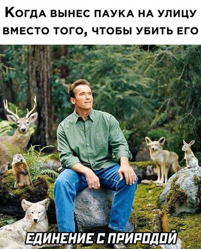 Когда вынес паука на улицу, вместо того чтоб убить его