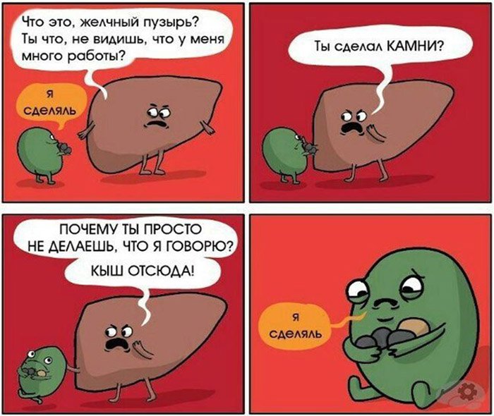Желчный пузырь слелал камни в почках