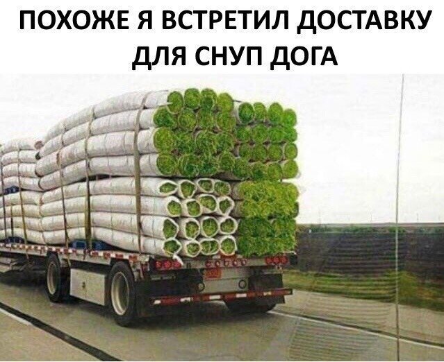 Доставка травы для Снуп Дога
