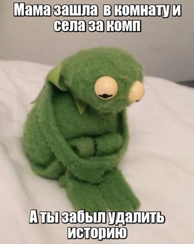 Мама села за комп, а ты забыл удалить историю