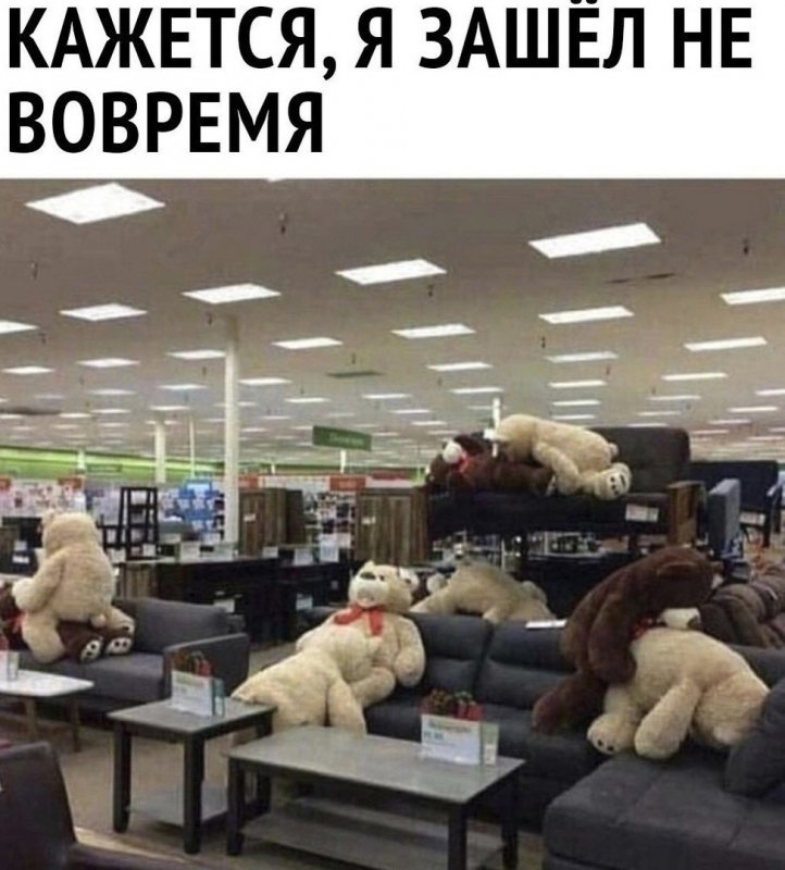 Зашёл в магазин, а тут медведи занимаются любовью