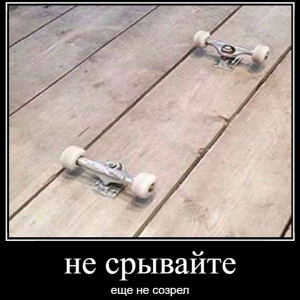 Скейтборд встроен в доске